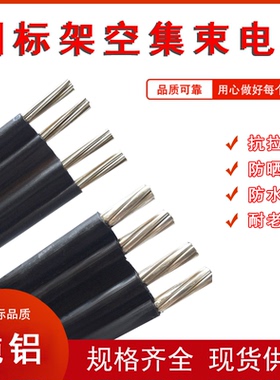 铝芯架空平行集束电缆 BS-JKLYJ 2芯4芯x10/16/25/35/50平方平行