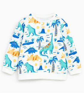 儿童印花休闲套头毛圈上衣 童装 特价 清仓卡通恐龙男童卫衣春秋新款