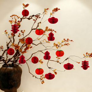 2026新年蜂窝灯笼挂饰春节喜庆装饰用品福字挂件装扮氛围布置用品