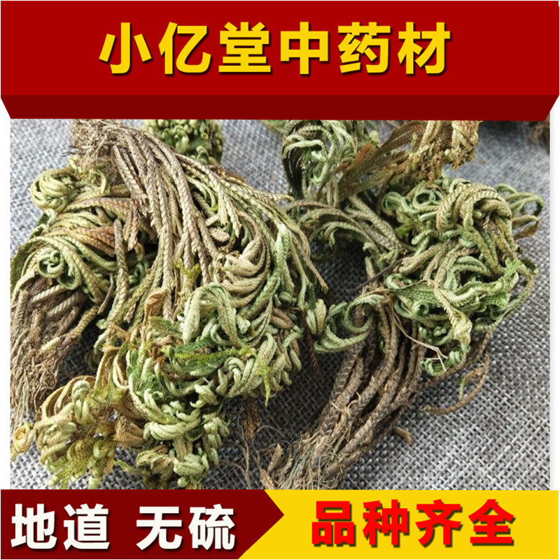 中药材卷柏 九死还魂草 500克 包邮 长生不死草 还阳草 新鲜