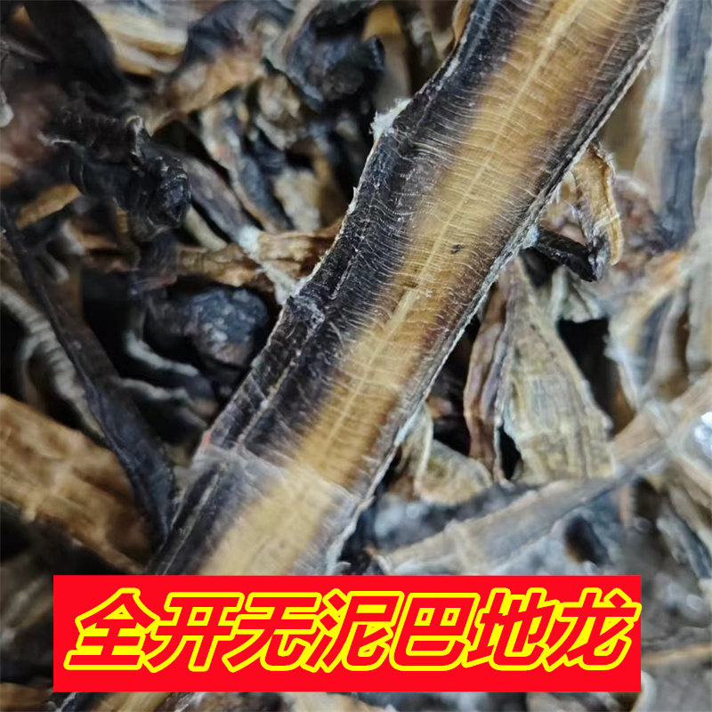 中药材地龙中药材全开无泥巴广地龙50克起包邮特级蚯蚓全干