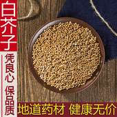 可炒芥籽 500克生白芥子粉备注粉 纯天然白芥子野生白芥籽新货 包邮