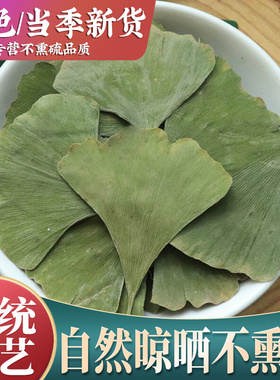中药材 银杏茶叶片新货 干银杏叶茶正品白果叶银杏500g包邮