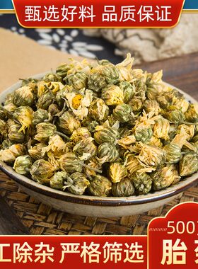 散装桐乡胎菊米头采特级