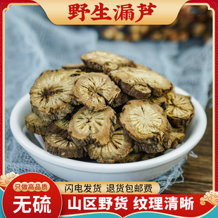 中药材 漏芦 漏芦段 漏芦根 鬼油麻 狼头花 野兰 龙葱根500克包邮