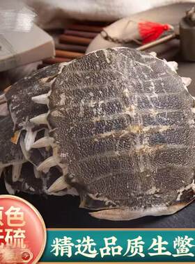 中药材生鳖甲鳖甲壳可免费打粉