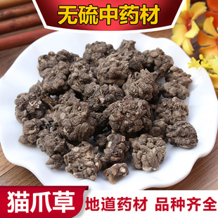 野生新鲜猫爪草500g水洗猫爪草正品猫抓草猫瓜草三散草搭夏枯草茶