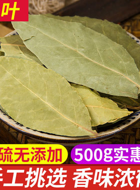 香叶天然月桂叶/优质调料