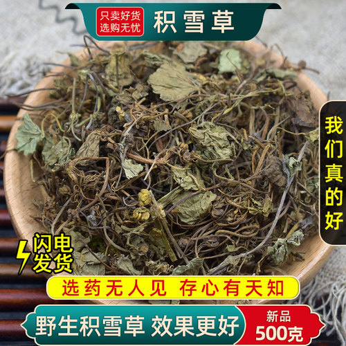 中药材新鲜晒干野生积雪草