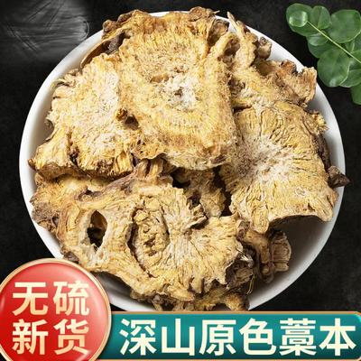 野生蒿本可打精选500克中药材