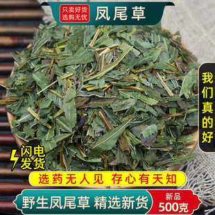 云南野生中草药凤尾草500g地道中药材精选特级干凤凰草别名金鸡尾