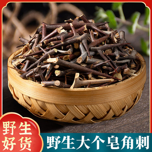 包邮新鲜野生皂角刺皂荚刺天丁皂刺粉皂角针中药材草药500g