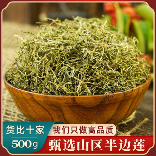 野生纯天然半边莲无硫熏中药材