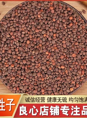 急性子中药材500克 凤仙花子 指甲花籽 正品新货精选急性籽药包邮