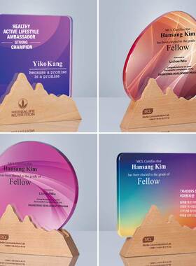 奖杯定制高端大气水晶奖牌定做优秀员工纪念品实木质彩印荣誉颁奖