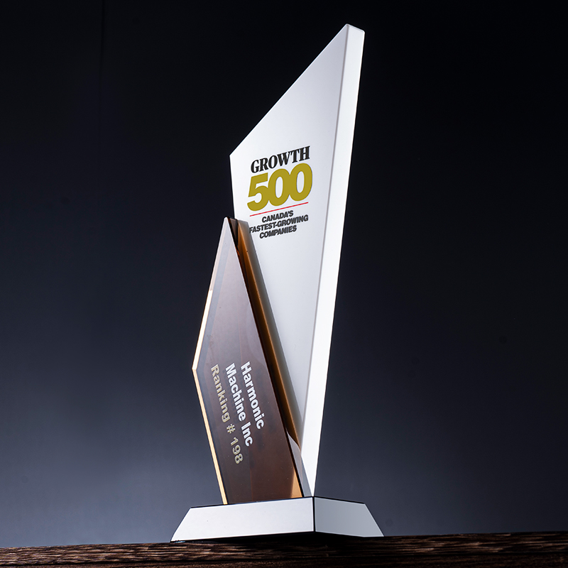 K9水晶奖杯奖牌定制定做年会优秀员工荣誉颁奖高档授权牌奖杯定制