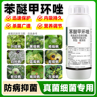 40%苯醚甲环唑炭疽病叶斑病玉米白粉病黑斑病三挫锉用农药杀菌剂