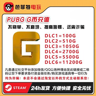 PUBGG币绝地求生皮肤G币金币游戏币充值点券吃鸡兑换码CDK