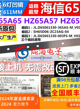 适用于松下 TH-65FX500C灯条LB65073 V0屏HD650S1U71-B2/S6 12条