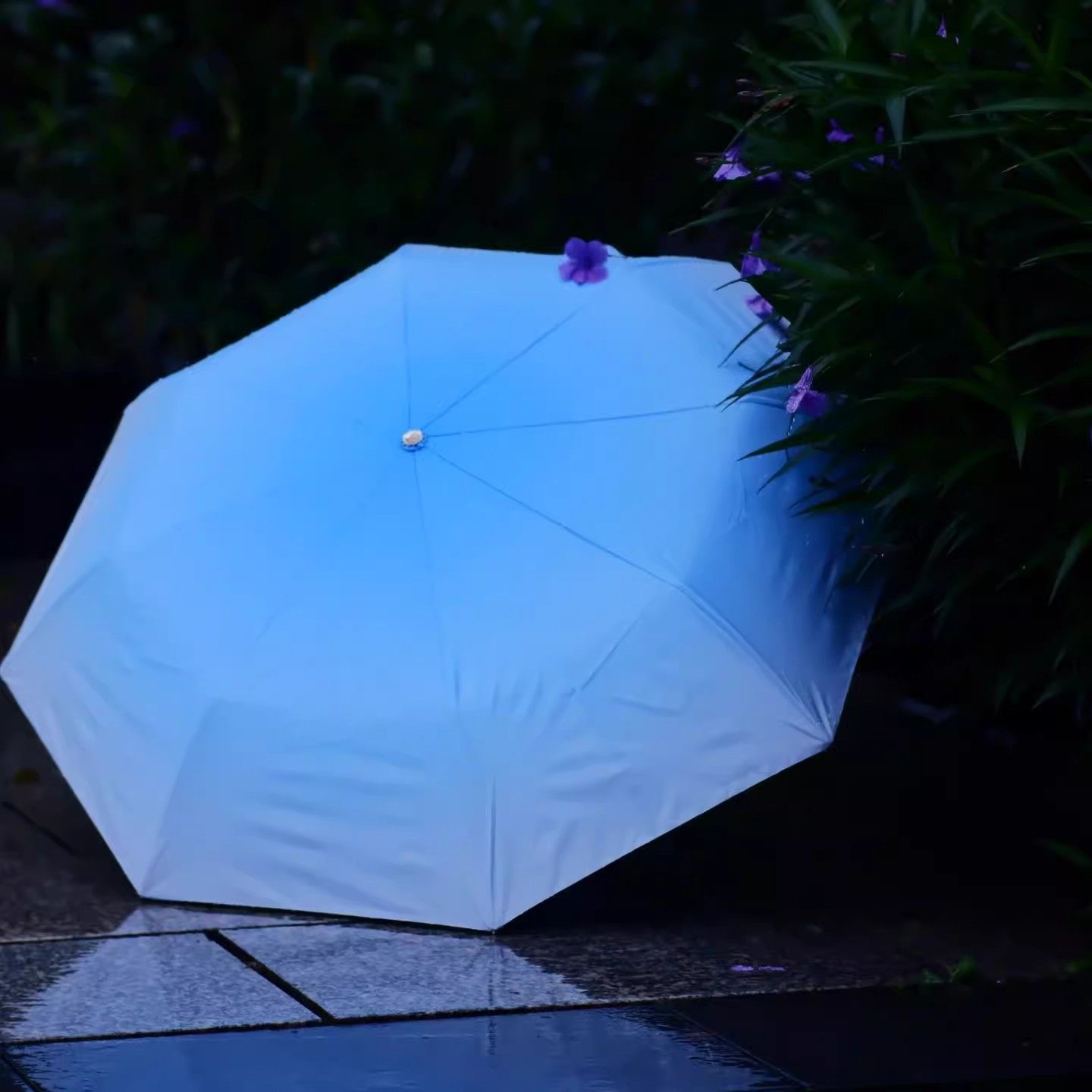 王俊凯应援色物料渐变蓝晴雨伞多功能短款高颜值追星实用遮阳伞,模玩/动漫/周边/娃圈三坑/桌游,动漫水杯/居家/百货,淘宝优惠券,粉丝福利购,淘宝优惠卷