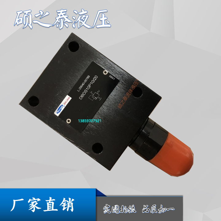 恒立上海立新DBDH10P10直动式溢流阀DBDS10P10/20 DBDS10K10/31.5