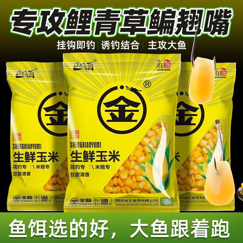 金龙生鲜玉米甘甜清香甜嫩玉米粒活饵/谷麦饵等饵料