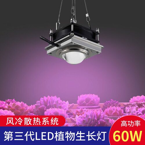 仙牛全光谱大棚多肉植物生长灯