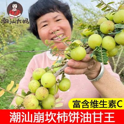 潮汕大妈新鲜采摘崩坎甜油甘油甘果当季孕妇水果榨汁油柑滇橄榄果