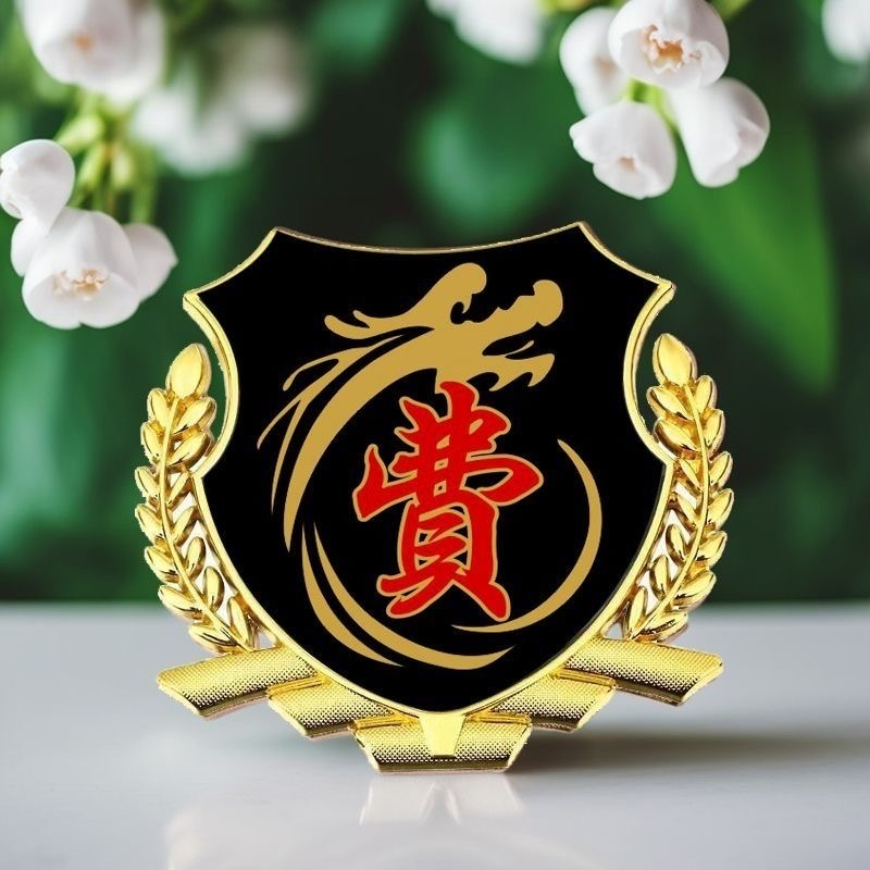 费氏百家姓车贴个性侧窗贴大号金属立体侧标VIP车身车标汽车尾标