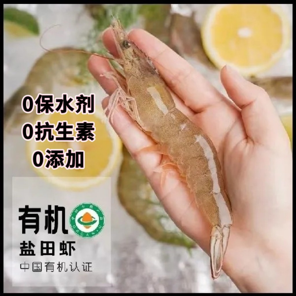有机盐田虾盐田生虾0抗生素0添加有机生态盐田虾孕妇儿童顺丰干冰