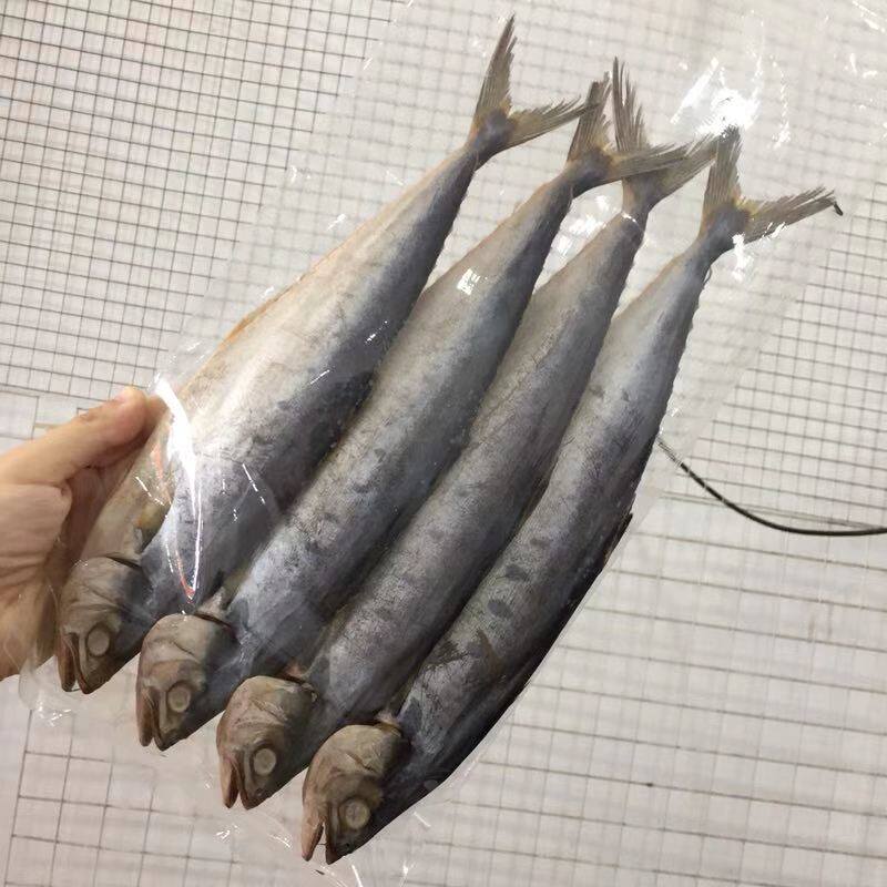 阳江海陵岛干货特产 小马胶鱼干 香煎超好吃 深海小马胶一件包邮