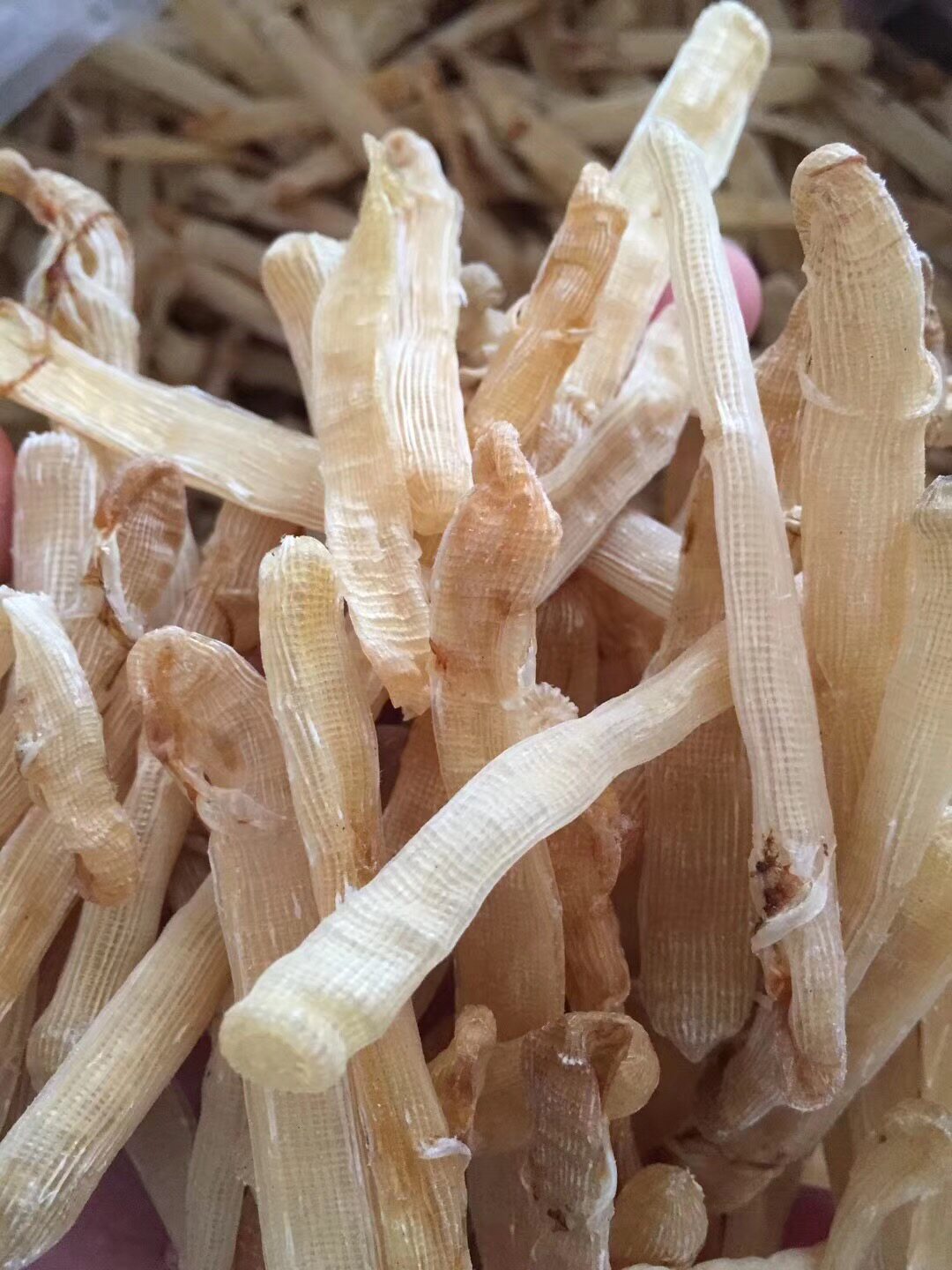 广东阳江渔民特产天然正宗本地沙虫干海肠子海产干货干度好50g