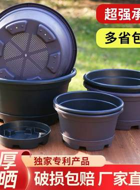 塑料简约花盆老桩植物盆打折