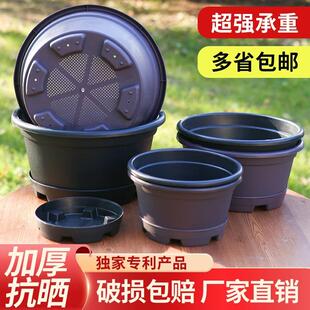 盆景塑料花盆树桩老桩花盆梅花桩花盆草莓种植盆多肉老桩花盆包邮