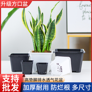 多肉花盆育苗盆景天小花盆大号老桩多肉植物花盆白方盆黑方盆加厚