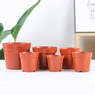 硬质一次性育苗盆红色培育盆简易花盆草莓花盆网底透气种植盆包邮