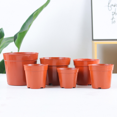 培育盆红色育苗盆透气透气