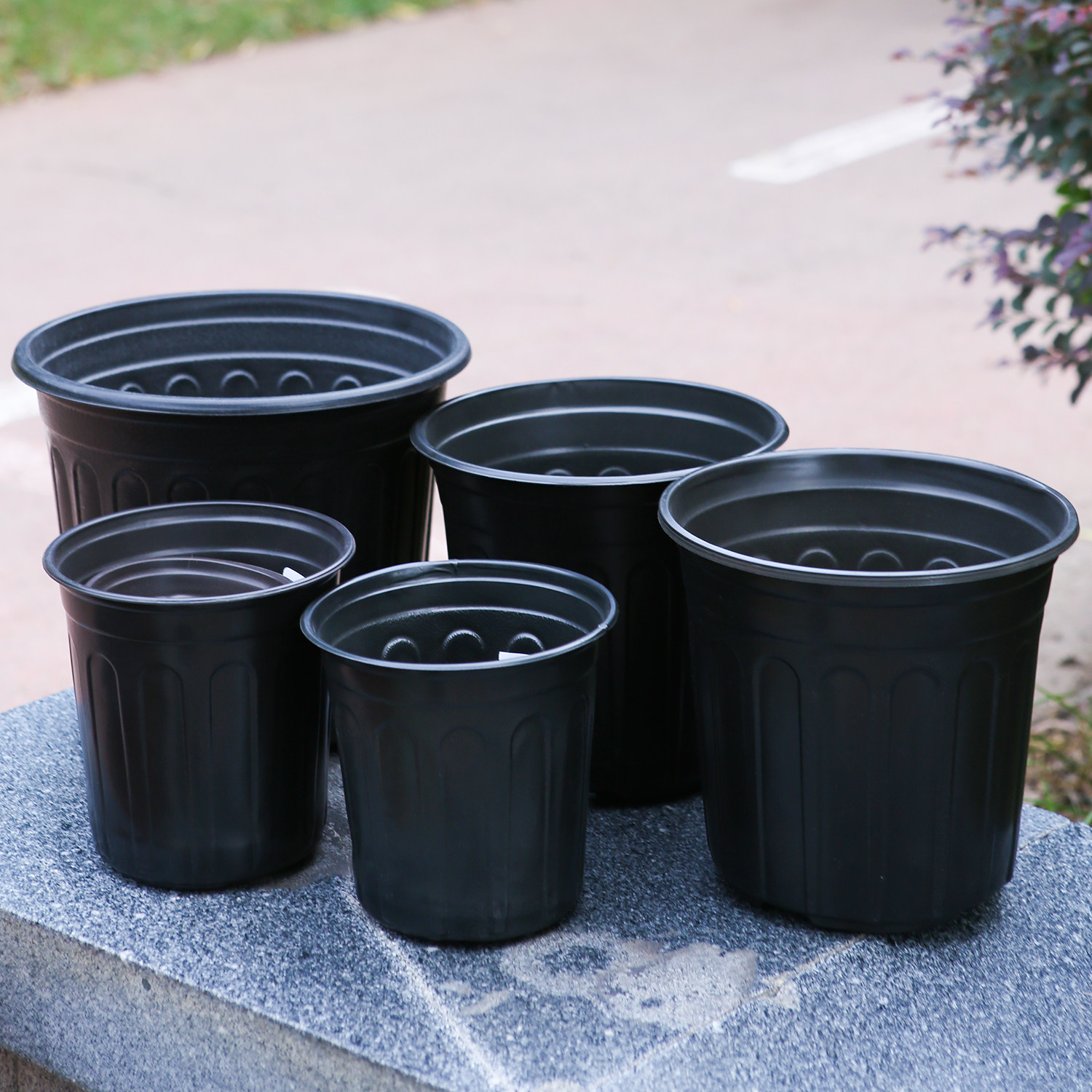 黑色一次性加仑盆黑色软塑料加仑盆茉莉花盆月季绿植草莓花盆包邮,鲜花速递/花卉仿真/绿植园艺,花盆,淘宝优惠券,粉丝福利购,淘宝优惠卷