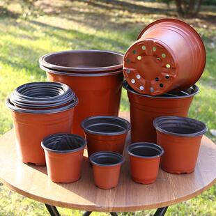 双色软盆 家用多肉育苗盆营养杯种植盆简易草莓花盆 一次性育苗盆