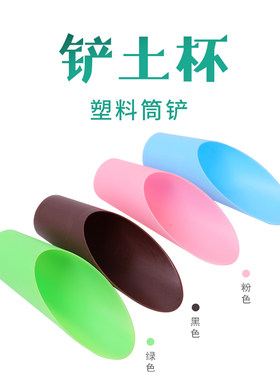 工具简约型花卉多肉植物