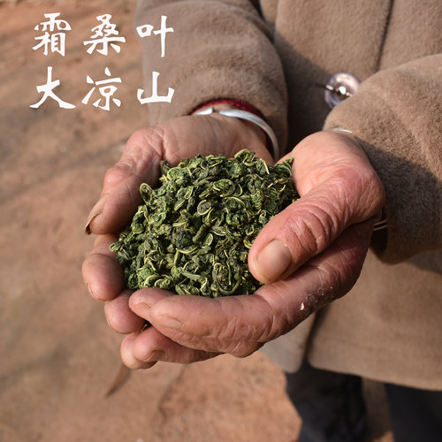 陈老师同产地大凉山霜后桑叶尖