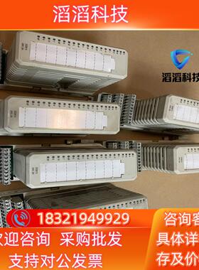 现货ABB数字量模块DO8153BSE013258R1 件