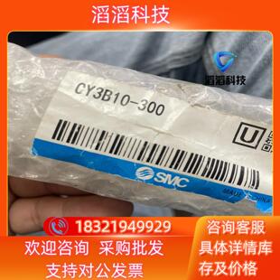 现货SMCCY3B10-300无杆气缸 1个