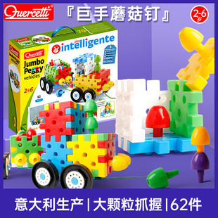 启迪Quercetti巨手拼搭积木 汽车组装桌面玩具儿童 62片2岁 Q2290