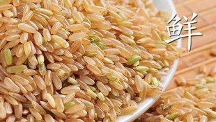 2023年新米东北黑龙江省五常稻花香糙米五谷杂粮营养胚芽米大米