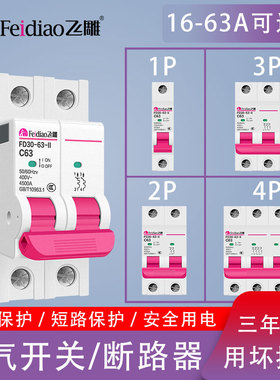 飞雕空气开关2P1P16A20A32A63A小型家用单双极断路器电闸刀空开