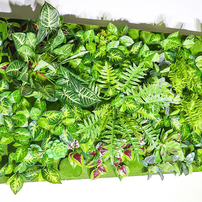 可定制仿真多肉绿植壁挂墙上装饰餐厅挂墙壁饰品套餐配套组合