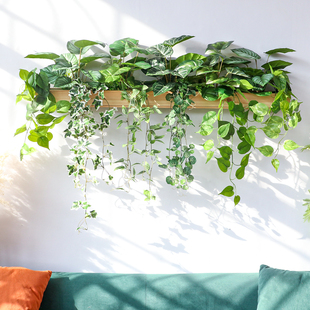 新品仿真绿植多肉墙面壁挂餐厅书房会客厅装饰民宿美式组合墙饰