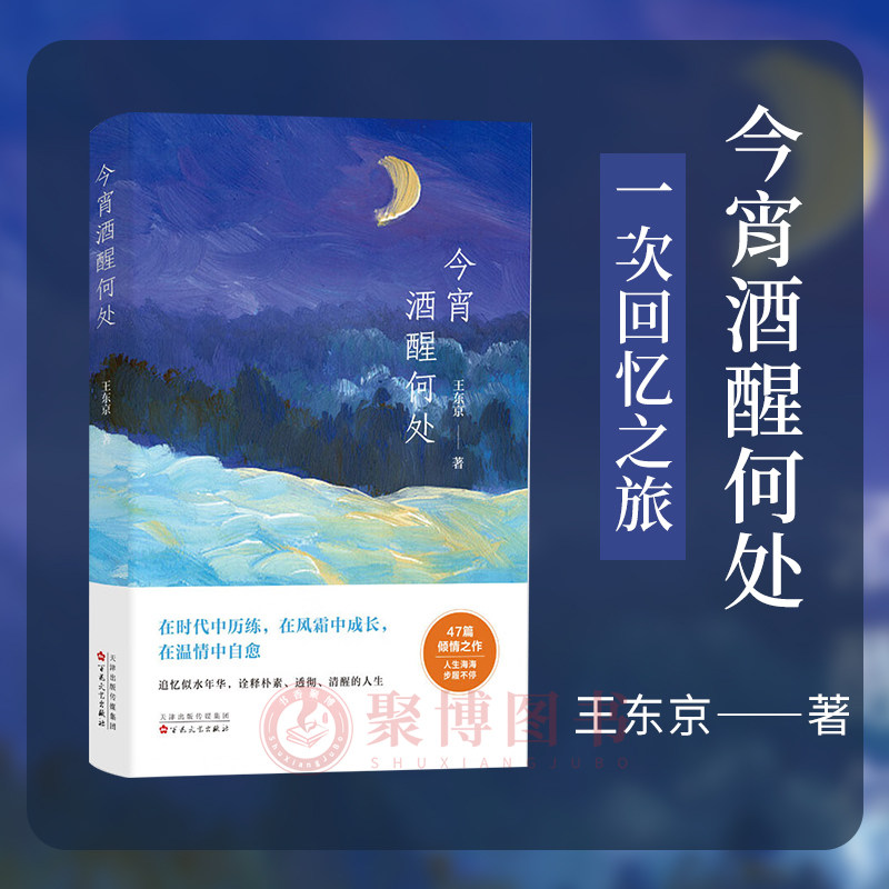 2023新书 今宵酒醒何处 王东京 散文随笔作品集 收录47篇温情治愈散文 在时代中历练 在风霜中成长 在温情中自愈