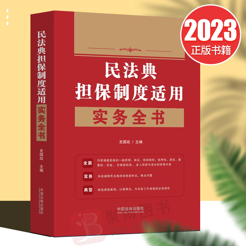 2023新书 民法典担保制度适用实务全书 担保的一般原理 保证 担保物权 抵押权 质权 留置权等 法律案例实务书籍 法制出版社